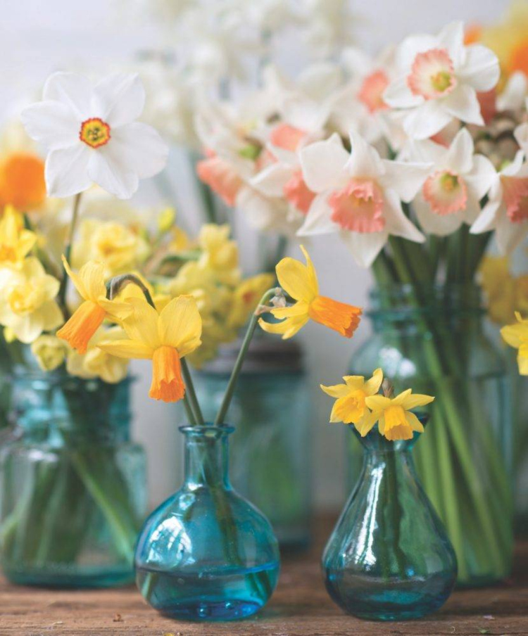 Uskršnji prolećni cvetni aranžmani od narcisa